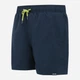 Шорты пляжные мужские Regatta Mawson SwShortIII RMM016-6H2 XL Синие (5063516012849) - изображение 6
