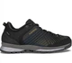 Кросівки чоловічі Lowa Carezza GTX 42 Сірий-Коричневий - зображення 1