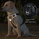 Нейлонова двостороння тактична шлейка для собак Tactical Dog Harness, XL Фіолетовий - зображення 3