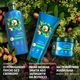 Шампунь Herbal Essences Відновлення Арганова Олія 350 мл (8700216211345) - зображення 5