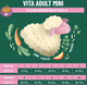 Sucha karma dla psów Comfy Appetit Vita Superfood Adult Mini Lamb 2.5 kg (5905546342155) - obraz 8