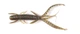 140174-S21 Німфа силікон. HOGY SHRIMP LJ Pro Series 3,5 "/ S21 *5 - изображение 2