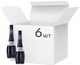 Упаковка лікерів Bols Creme de Cassis 17% 0.7 л х 6 шт (08716000076700) - зображення 1