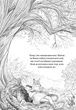 Дівчинка на ім'я Віллоу. Книга 2. Шепіт лісу/Забіне Больман/9786175484326 - изображение 3