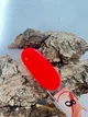 Кольоровий гель помаранчевий для нарощування SVN (25гр) 8 моделюючий та укріплюючий - зображення 3