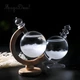 Барометр Штормгласс RESTEQ большой глобус, капля Storm Glass на стеклянной подставке, декоративный и метеорологический прибор для - изображение 2