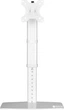 Настільне кріплення для монітора Brateck LDT19-T01 White (LDT19-T01) - зображення 2