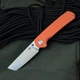 Ніж Складаний BESTECH SLEDGEHAMMER BG31A-1 Orange G10 - изображение 1