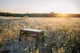 Стол Tribe Camp Table Low пластиковый (T-EF-0003-olive) - изображение 16