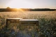 Стол Tribe Camp Table Low пластиковый (T-EF-0003-olive) - изображение 18