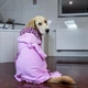 Халат для собак Max & Molly Bath Robe Leopard Pink с леопардовым принтом, S - изображение 4