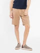 Шорты короткие мужские Arber Diego Shorts M29.49.16.521 50 Бежевые (2800000510312) - изображение 1