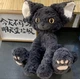 Плюшевый кот Devon Rex TotoJay девон рекс - изображение 6