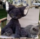 Плюшевый кот Devon Rex TotoJay девон рекс - изображение 9