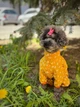 Літній пильник для собак WowPaw Конкур XS жовтий - изображение 2