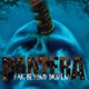 Pantera – Far Beyond Driven (1994) Audio CD (импорт, постер) - изображение 1