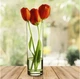 Ваза Pasabahce Flora h-26,5 см цилиндрическая 43767 - изображение 5