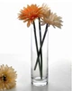 Ваза Pasabahce Flora h-26,5 см цилиндрическая 43767 - изображение 6