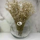 Ваза стеклянная 15,5 см Pasabahce Botanica 45068 ТЕХ - изображение 4