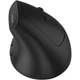Мышка Canyon MW-25 LED Silent Wireless/Bluetooth Black (CNS-CMSW25) - изображение 4