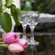 Набір чарок Pasabahce Bistro 60 мл 6 шт (44134) - зображення 3