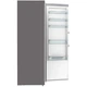 Холодильник Gorenje R619EAXL6 - изображение 5
