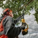 Аккумуляторный бесщеточный высоторез с штангой DeWALT DCMPS567P1 18 В длина шины 20 см (DCMPS567P1) - изображение 8