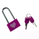 Розовый замок для влюблённых Love Locks с ключами, 7×3,3 см 35997 - изображение 1