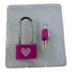 Розовый замок для влюблённых Love Locks с ключами, 7×3,3 см 35997 - изображение 2