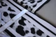 Постільна білизна First Choice Cotton Satin полуторний Leopard Black - зображення 4