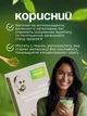 Матча ананас японский зеленый чай матча латте Navu на миндальном молоке и кукурузные растительные сливки порошковый matcha молочный коктейль цветочный милкшейк натуральный 2 +1 анчан черника ягодный в подарок - изображение 5