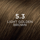 Крем-фарба для волосся Phyto Color 5.3 Light Golden Brown Світло-золотистий шатен (3338221002600) - зображення 2