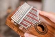 Калімба MEINL Sonic Energy Acacia Sound Hole Pickup Kalimba PKL1707H - изображение 12