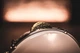 Фрейм барабан MEINL Artisan Edition White Burl Mosaic Royale Riq Drum 8 3/4" AERIQ1 - изображение 5