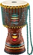 Джембе MEINL Artisan Edition Tongo Coloured Ornamental Carved Djembe 12" AE-DJTC2-L - изображение 1