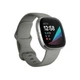 Смарт-часы Fitbit Sense Silver Sage Grey (FB512SRSG) - изображение 1