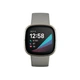 Смарт-часы Fitbit Sense Silver Sage Grey (FB512SRSG) - изображение 2