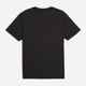 Футболка спортивна для тренувань довга чоловіча Puma Essentials Train All Day Foundations 52715501 S Black (4067984153883) - зображення 5