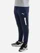 Спортивные штаны мужские Puma Teamliga Training 65733206 M Peacoat-White (4063697513600) - изображение 2