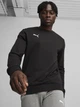 Свитшот для футбола мужской Puma Teamgoal Casuals 65859203 XL Black-White (4099686881740) - изображение 1