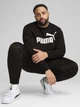 Свитшот на флисе мужской Puma Essentials Foundation 68255801 XL Black с принтом (4067983621291) - изображение 3