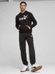 Худи утепленное мужское Puma Essentials Foundation 68257001 M Black (4067983579448) - изображение 3