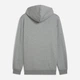 Худи утепленное мужское Puma Essentials Foundation 68257403 L Medium Gray Heather (4067983670046) - изображение 5