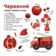 Вивчаємо кольори, слова, цифри - изображение 3