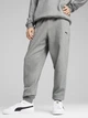 Спортивные штаны мужские утепленные Puma Essentials Foundation 68261403 S Medium Gray Heather (4067983638060) - изображение 1