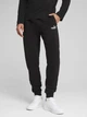 Спортивные штаны мужские утепленные Puma Essentials Foundation 68264201 XL Black (4067983626562) - изображение 1