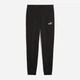 Спортивные штаны мужские утепленные Puma Essentials Foundation 68264201 XL Black (4067983626562) - изображение 6