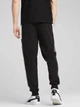 Спортивные штаны мужские Puma Essentials Block 68468901 M Black (4067983592980) - изображение 2