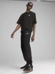 Спортивные штаны мужские утепленные Puma Essentials Graphics 68471301 XL Black (4067983622113) - изображение 3