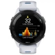 Смарт-часы Garmin Forerunner 265 Black Bezel with Whitestone Case and Whitestone/Tidal Blue Silicone Band (010-02810-51) - изображение 9